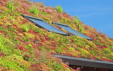 Brown Heath living roof systems