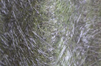 Brown Heath fibreglass roof work